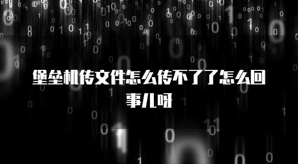堡垒机传文件怎么传不了了怎么回事儿呀