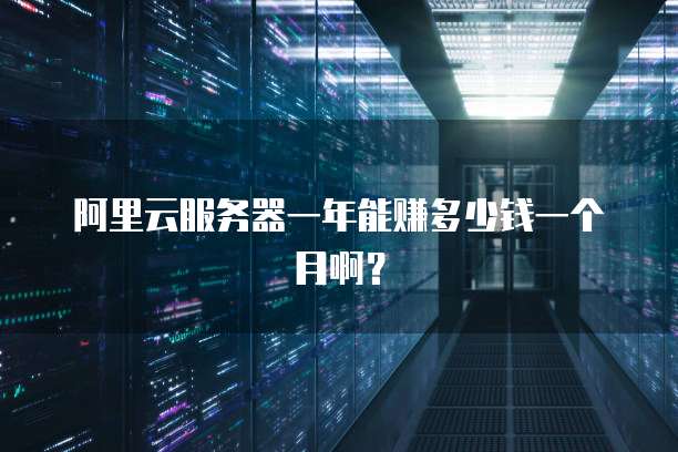 阿里云服务器一年能赚多少钱一个月啊？