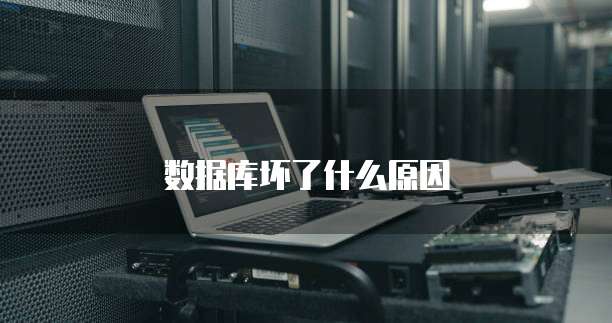 数据库坏了什么原因