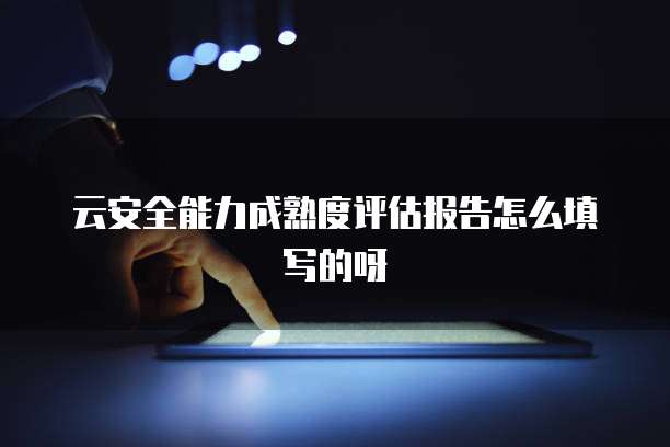 云安全能力成熟度评估报告怎么填写的呀