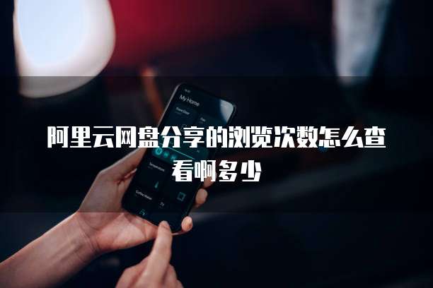 阿里云网盘分享的浏览次数怎么查看啊多少