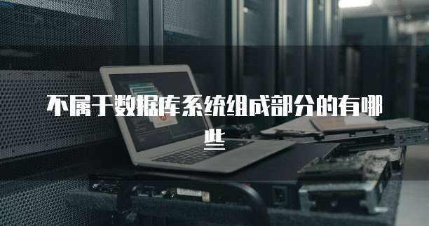 不属于数据库系统组成部分的有哪些