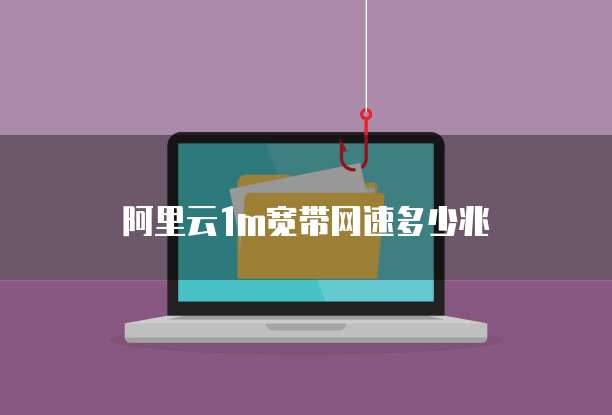 阿里云1m宽带网速多少兆