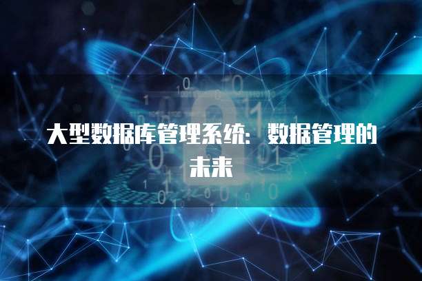 大型数据库管理系统：数据管理的未来