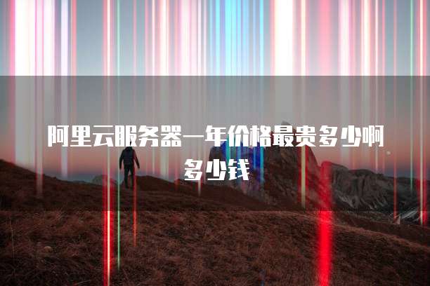 阿里云服务器一年价格最贵多少啊多少钱