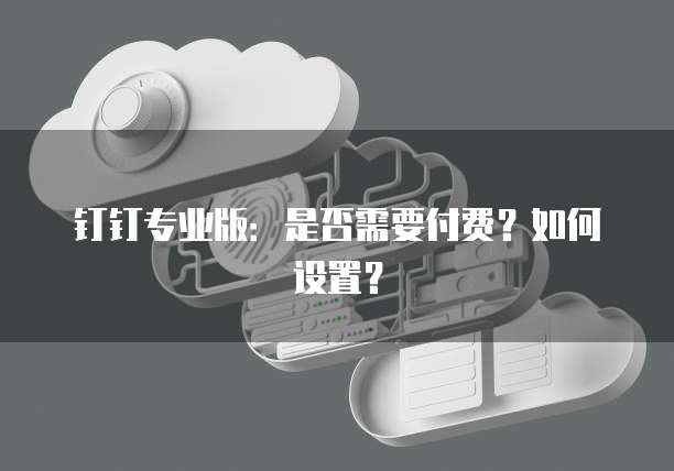 钉钉专业版：是否需要付费？如何设置？
