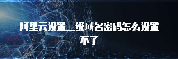 阿里云设置二级域名密码怎么设置不了
