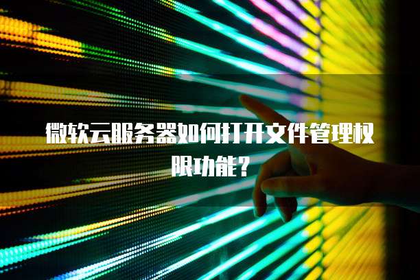 微软云服务器如何打开文件管理权限功能？