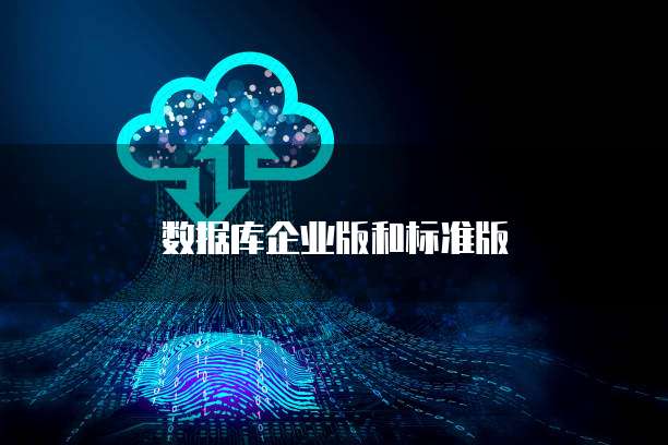 数据库企业版和标准版