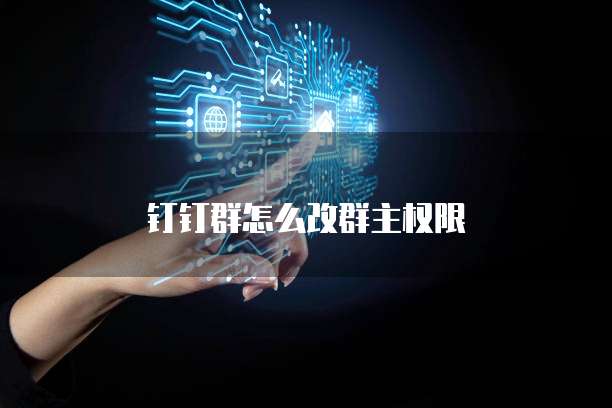 钉钉群怎么改群主权限