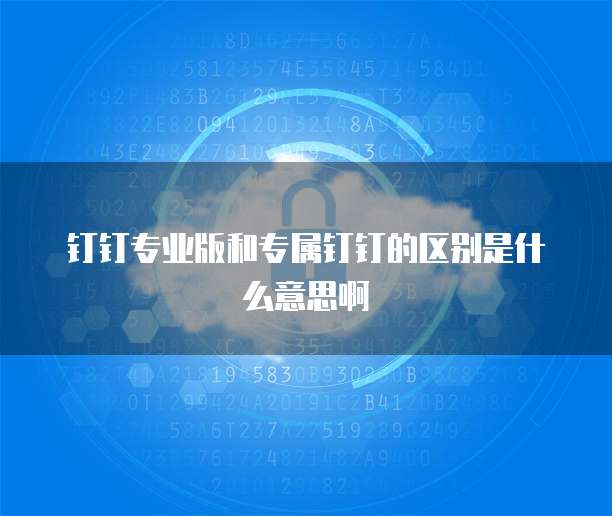 钉钉专业版和专属钉钉的区别是什么意思啊