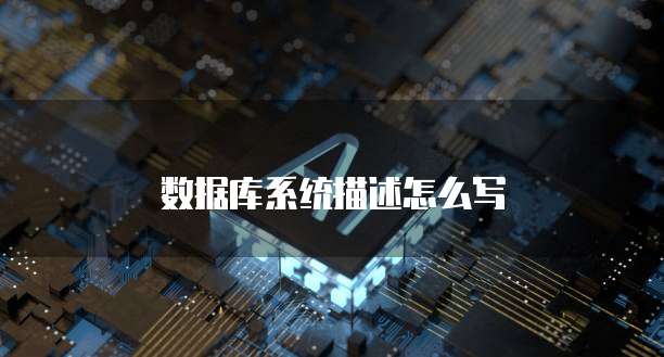 数据库系统描述怎么写