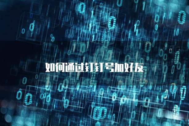 如何通过钉钉号加好友