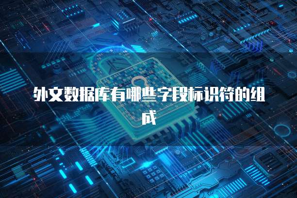 外文数据库有哪些字段标识符的组成