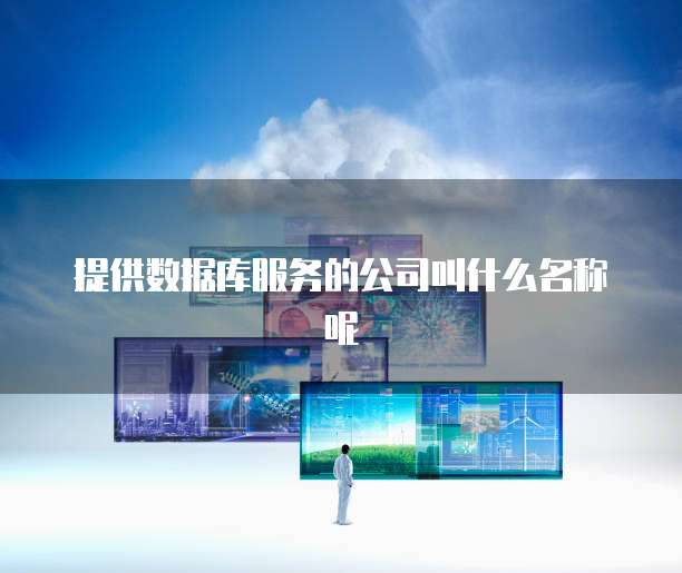 提供数据库服务的公司叫什么名称呢
