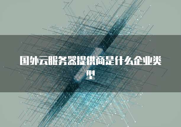 国外云服务器提供商是什么企业类型