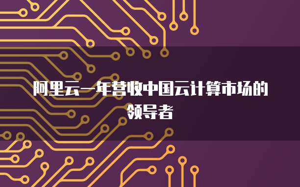 阿里云一年营收中国云计算市场的领导者