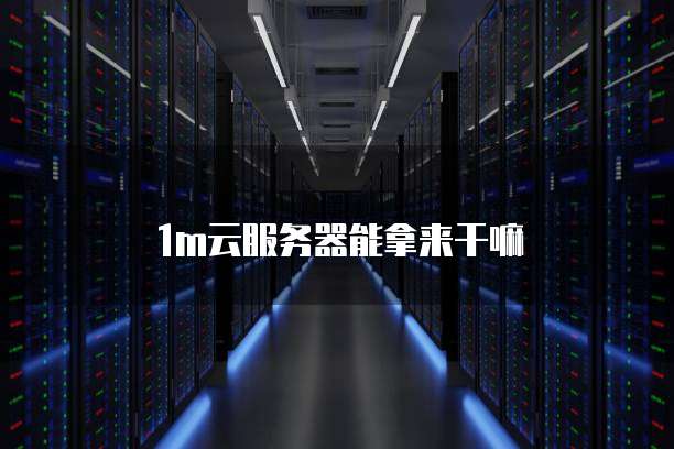 1m云服务器能拿来干嘛