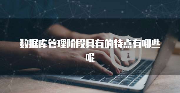 数据库管理阶段具有的特点有哪些呢