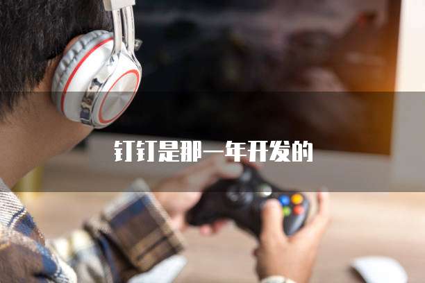 钉钉是那一年开发的