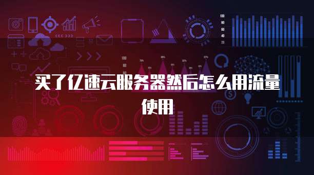 买了亿速云服务器然后怎么用流量使用