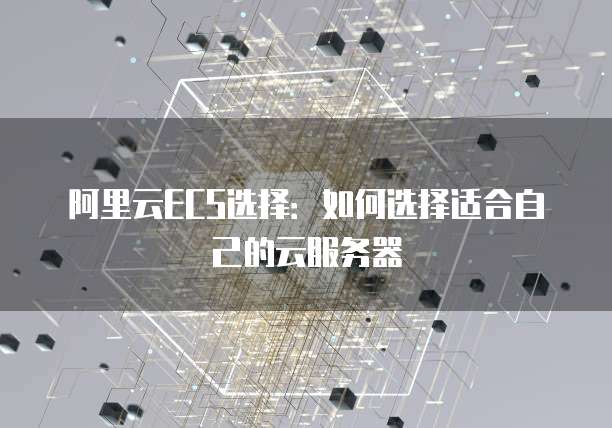 阿里云ECS选择：如何选择适合自己的云服务器