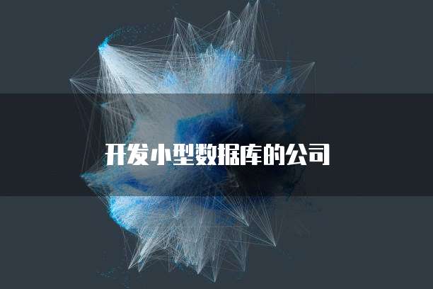 开发小型数据库的公司
