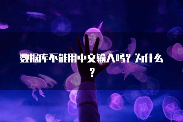数据库不能用中文输入吗？为什么？