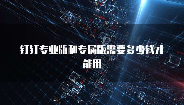 钉钉专业版和专属版需要多少钱才能用