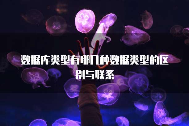 数据库类型有哪几种数据类型的区别与联系