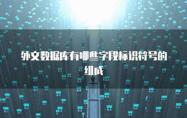 外文数据库有哪些字段标识符号的组成