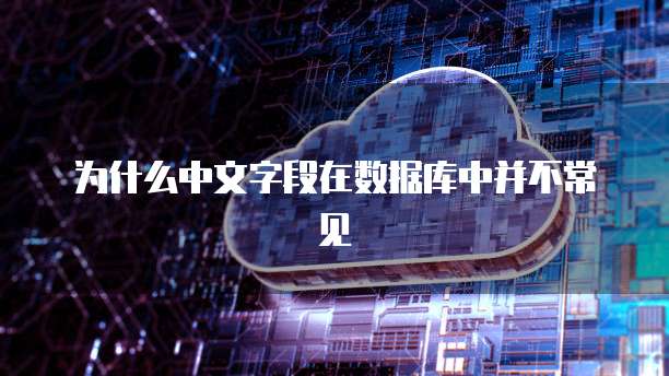 为什么中文字段在数据库中并不常见