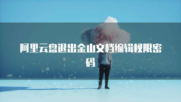 阿里云盘退出金山文档编辑权限密码