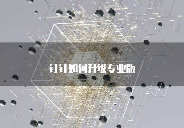 钉钉如何升级专业版