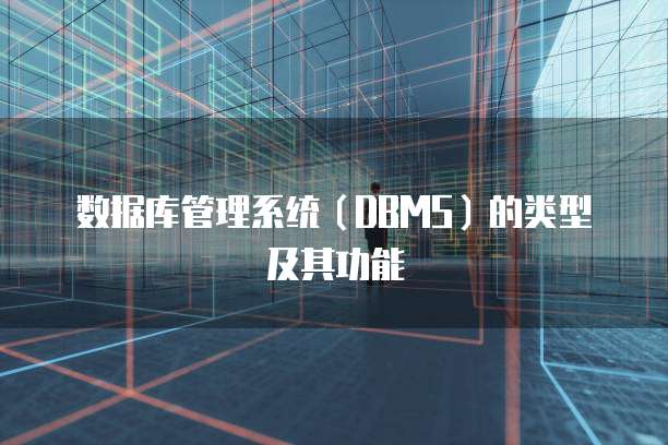 数据库管理系统（DBMS）的类型及其功能