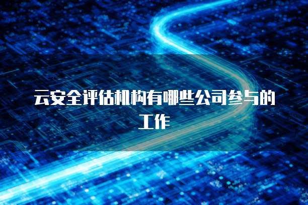 云安全评估机构有哪些公司参与的工作