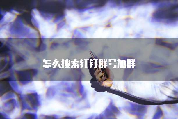 怎么搜索钉钉群号加群