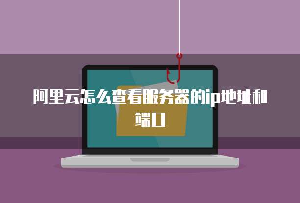 阿里云怎么查看服务器的ip地址和端口