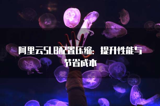 阿里云SLB配置压缩：提升性能与节省成本