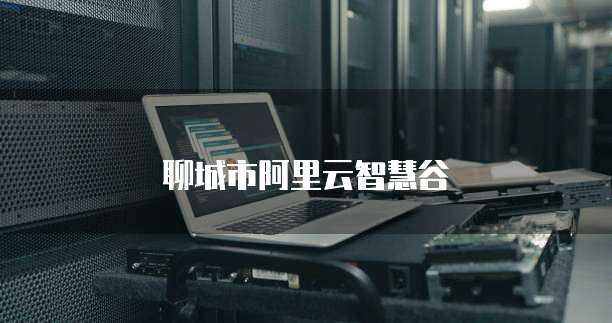 聊城市阿里云智慧谷