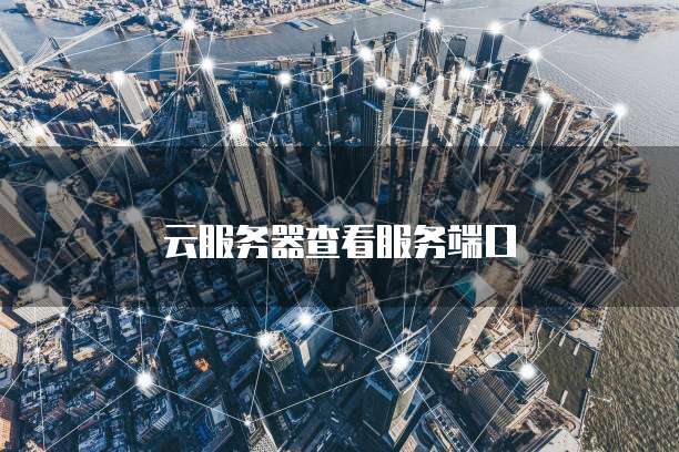 云服务器查看服务端口