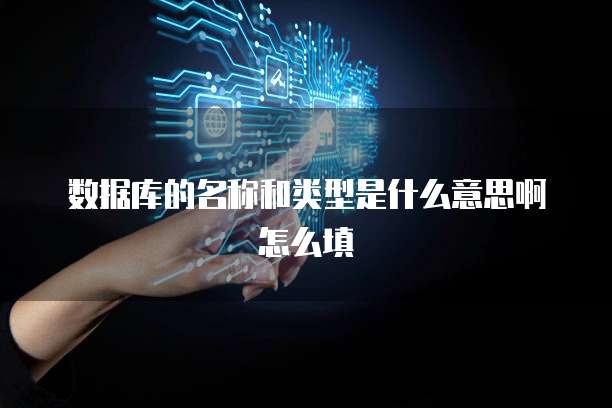 数据库的名称和类型是什么意思啊怎么填