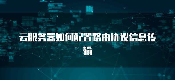 云服务器如何配置路由协议信息传输
