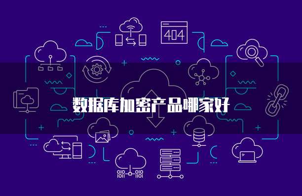数据库加密产品哪家好