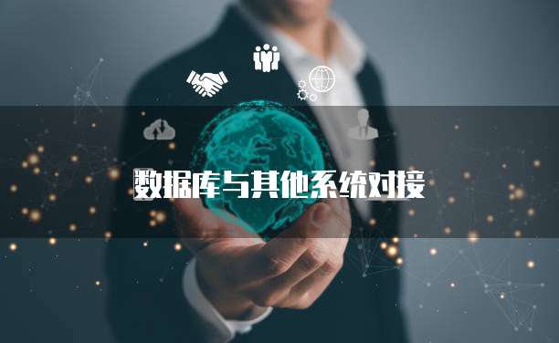 数据库与其他系统对接