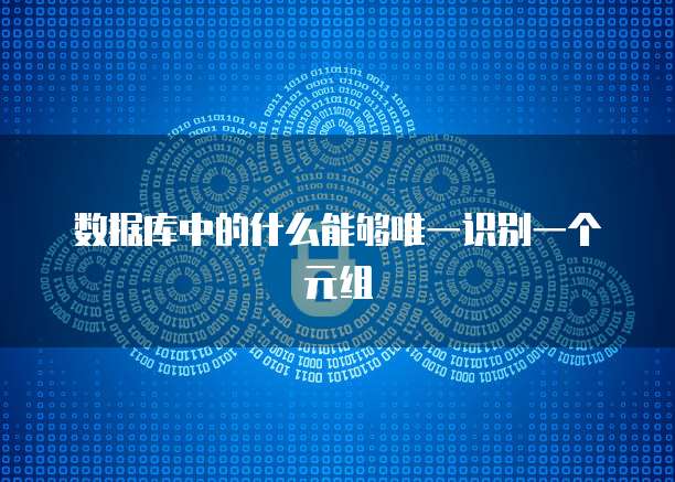 数据库中的什么能够唯一识别一个元组