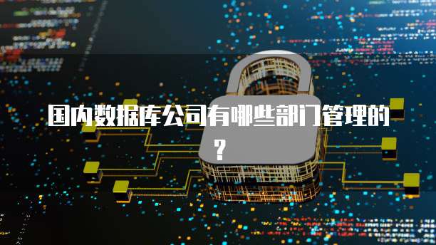 国内数据库公司有哪些部门管理的？