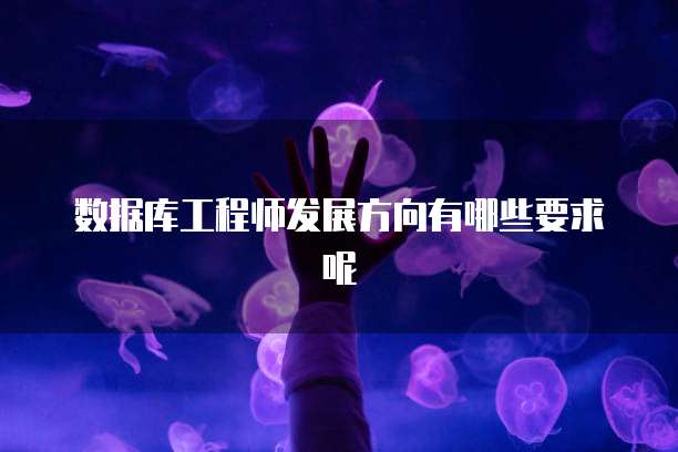 数据库工程师发展方向有哪些要求呢
