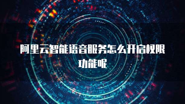 阿里云智能语音服务怎么开启权限功能呢