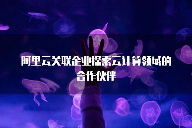 阿里云关联企业探索云计算领域的合作伙伴